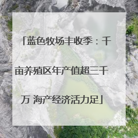 蓝色牧场丰收季：千亩养殖区年产值超三千万 海产经济活力足