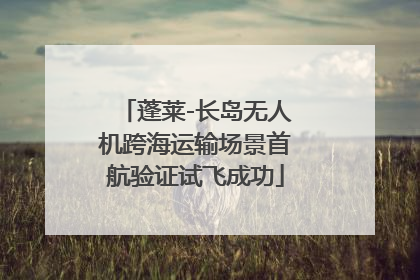 蓬莱-长岛无人机跨海运输场景首航验证试飞成功