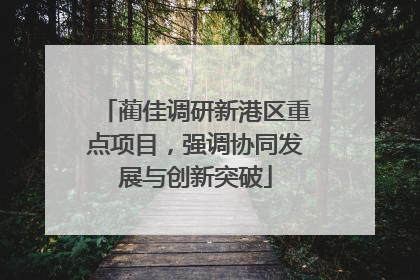 蔺佳调研新港区重点项目，强调协同发展与创新突破