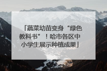 蔬菜幼苗变身“绿色教科书”！哈市各区中小学生展示种植成果