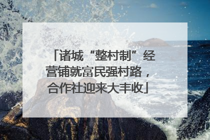 诸城“整村制”经营铺就富民强村路，合作社迎来大丰收