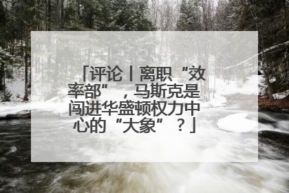 评论丨离职“效率部”，马斯克是闯进华盛顿权力中心的“大象”？