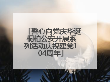 警心向党庆华诞 桐柏公安开展系列活动庆祝建党104周年