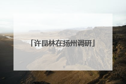 许昆林在扬州调研