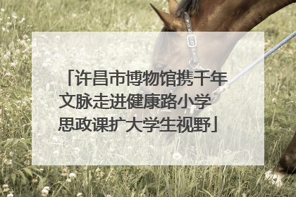 许昌市博物馆携千年文脉走进健康路小学 思政课扩大学生视野