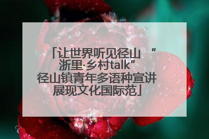让世界听见径山 “浙里·乡村talk”径山镇青年多语种宣讲展现文化国际范