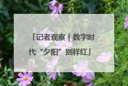 记者观察｜数字时代“夕阳”别样红