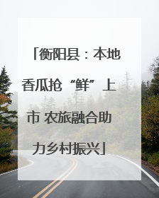 衡阳县：本地香瓜抢“鲜”上市 农旅融合助力乡村振兴