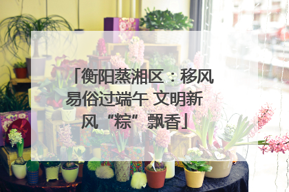 衡阳蒸湘区：移风易俗过端午 文明新风“粽”飘香