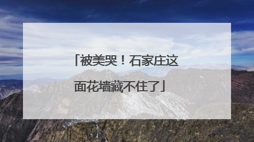 被美哭！石家庄这面花墙藏不住了