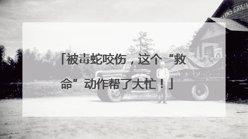 被毒蛇咬伤，这个“救命”动作帮了大忙！