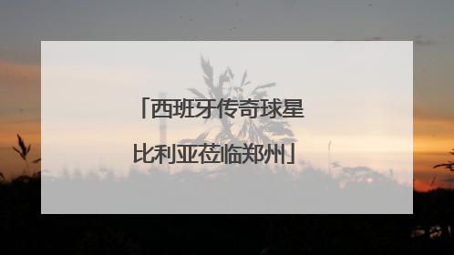 西班牙传奇球星 比利亚莅临郑州