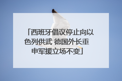 西班牙倡议停止向以色列供武 德国外长重申军援立场不变