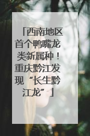 西南地区首个鸭嘴龙类新属种！重庆黔江发现“长生黔江龙”