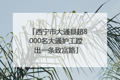 西宁市大通县超8000名大通护工蹚出一条致富路