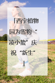 西宁植物园为雪豹“凌小蛰”庆祝“新生”