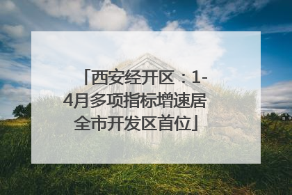 西安经开区：1-4月多项指标增速居全市开发区首位
