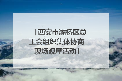 西安市灞桥区总工会组织集体协商现场观摩活动