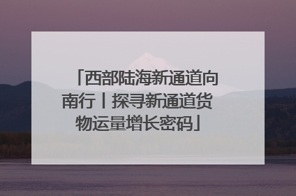 西部陆海新通道向南行丨探寻新通道货物运量增长密码