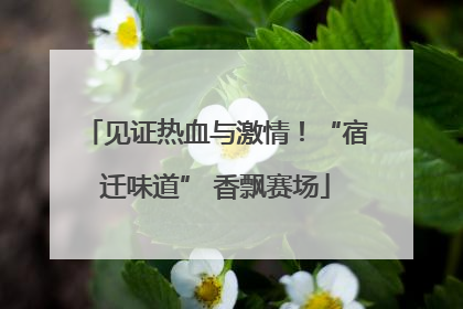 见证热血与激情！“宿迁味道” 香飘赛场