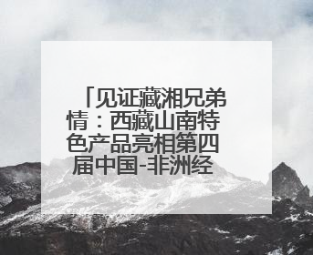 见证藏湘兄弟情：西藏山南特色产品亮相第四届中国-非洲经贸博览会