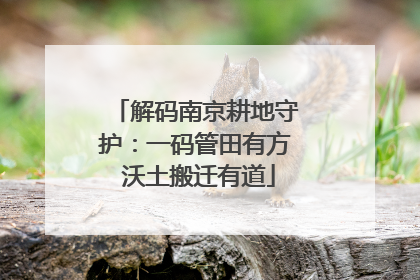 解码南京耕地守护：一码管田有方 沃土搬迁有道