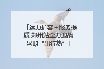 运力扩容＋服务提质 郑州站全力迎战暑期“出行热”