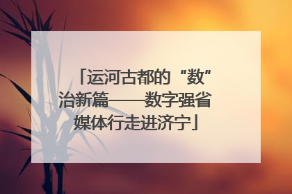 运河古都的“数”治新篇——数字强省媒体行走进济宁