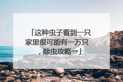 这种虫子看到一只家里很可能有一万只，除虫攻略→