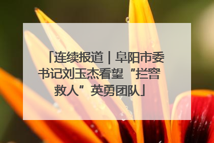 连续报道｜阜阳市委书记刘玉杰看望“拦窨救人”英勇团队