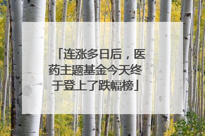 连涨多日后，医药主题基金今天终于登上了跌幅榜