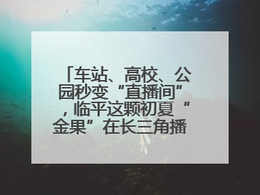 车站、高校、公园秒变“直播间”，临平这颗初夏“金果”在长三角播撒甜美
