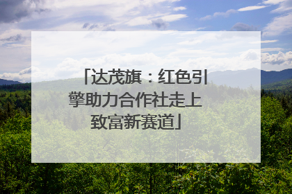 达茂旗：红色引擎助力合作社走上致富新赛道