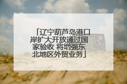 辽宁葫芦岛港口岸扩大开放通过国家验收 将增强东北地区外贸业务