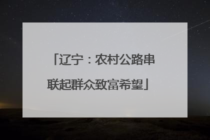 辽宁：农村公路串联起群众致富希望