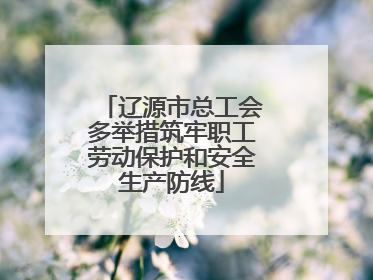辽源市总工会多举措筑牢职工劳动保护和安全生产防线