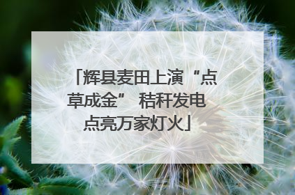 辉县麦田上演“点草成金” 秸秆发电点亮万家灯火