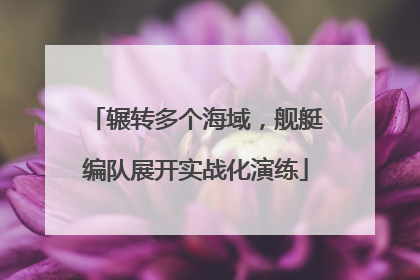 辗转多个海域，舰艇编队展开实战化演练