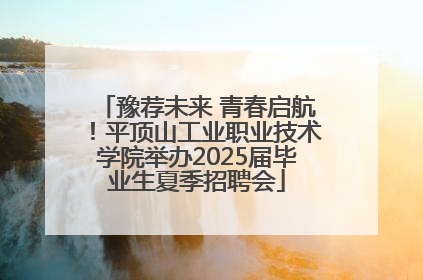 豫荐未来 青春启航！平顶山工业职业技术学院举办2025届毕业生夏季招聘会