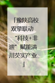 豫陕高校双擎联动 “科技+非遗”赋能潢川芡实产业