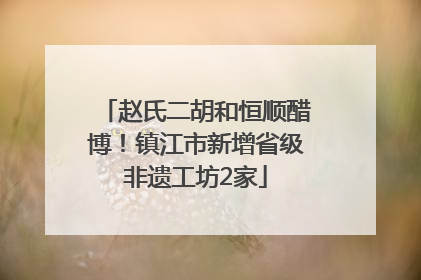 赵氏二胡和恒顺醋博！镇江市新增省级非遗工坊2家