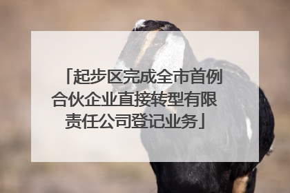 起步区完成全市首例合伙企业直接转型有限责任公司登记业务