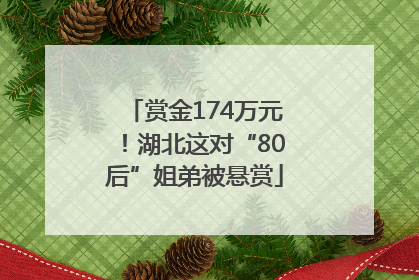 赏金174万元！湖北这对“80后”姐弟被悬赏