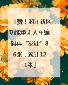 赞！湘江新区功能型无人车编码再“发证”86张，累计121张