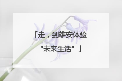 走，到雄安体验“未来生活”
