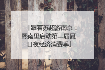 跟着苏超游南京：熙南里启动第二届夏日夜经济消费季