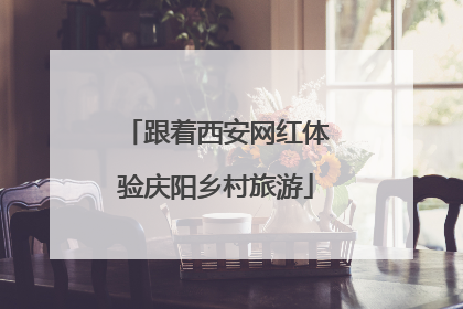 跟着西安网红体验庆阳乡村旅游