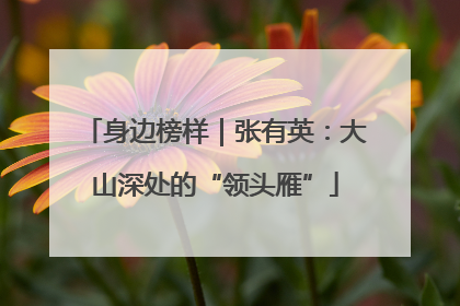 身边榜样｜张有英：大山深处的“领头雁”