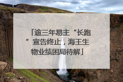 逾三年易主“长跑”宣告终止，海王生物业绩困局待解