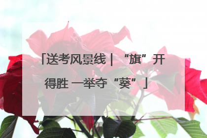 送考风景线｜“旗”开得胜 一举夺“葵”